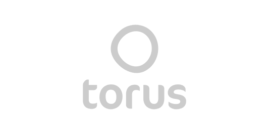 Torus logo